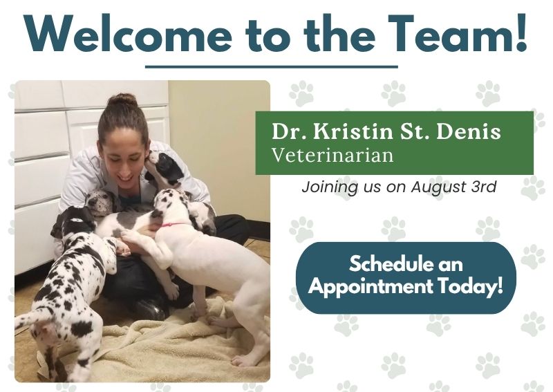 Carousel Slide 3: Dr. St. Denis Announcement